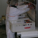 Pasteurization System for frankfurters, GAL-ESh