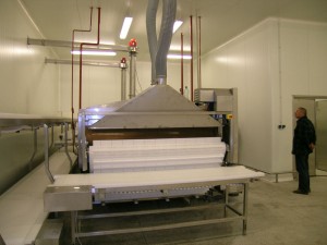 Pasteurization System for frankfurters, GAL-ESh