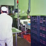 pasteurization for deli meat ptcd 3012, GAL-ESH