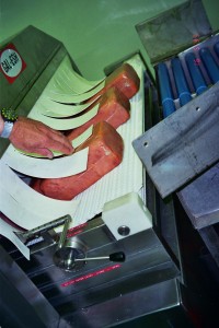 pasteurization system for deli meat catalog 3012, GAL-ESH