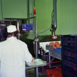 pasteurization system for deli meat ptcd 3012, GAL-ESH