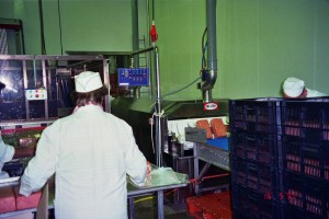 pasteurization system for deli meat ptcd 3012, GAL-ESH