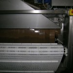 Pasteurization System for frankfurters
