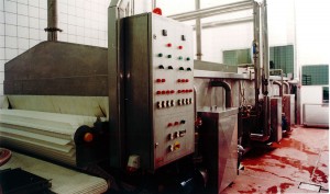 pasteurization system for frankfurters ptcf 7020, GAL-ESH