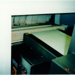 Pasteurization System for deli meat