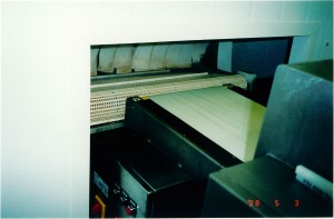 Pasteurization System for deli meat