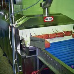 pasteurization system for deli meat ptcd 3090, GAL-ESH