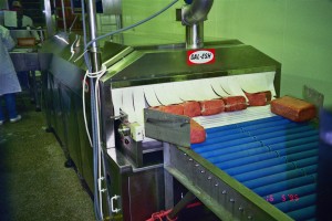 pasteurization system for deli meat ptcd 3090, GAL-ESH