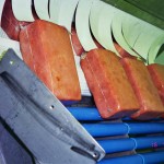 PASTEURIZATION TUNNEL FOR DELI MEAT