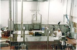 PASTEURIZATION AND CHILLING TUNNEL